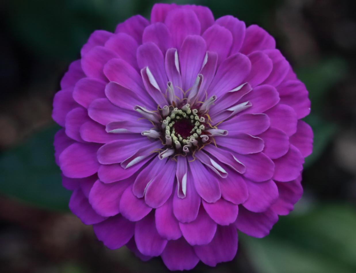 2014 09 17 HTP 87635